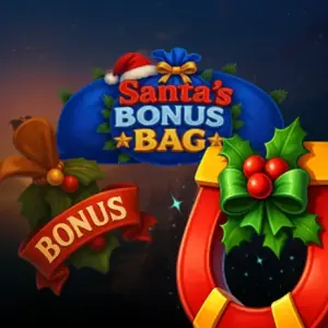 Santa's Bonus Bag